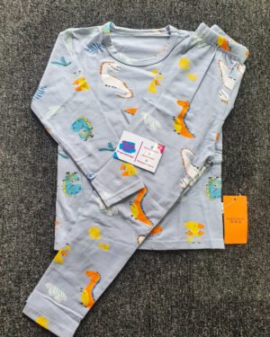 Boys Ash, Green & Orange Long Sleeve Nightwear Set