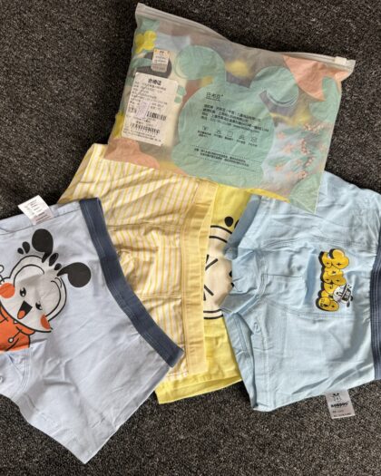 Boys Multicolour 4pcs Character Briefs Set