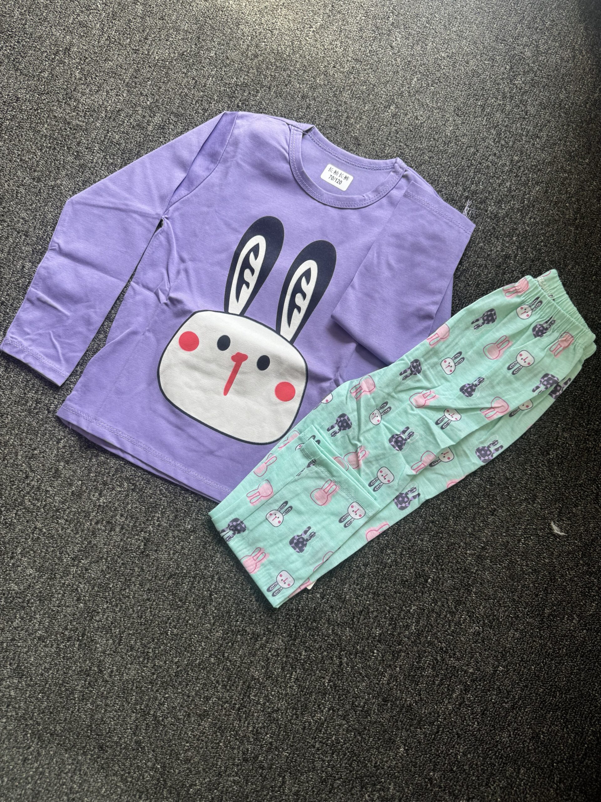 Girls Purple & Blue Long Sleeve Nightwear Set